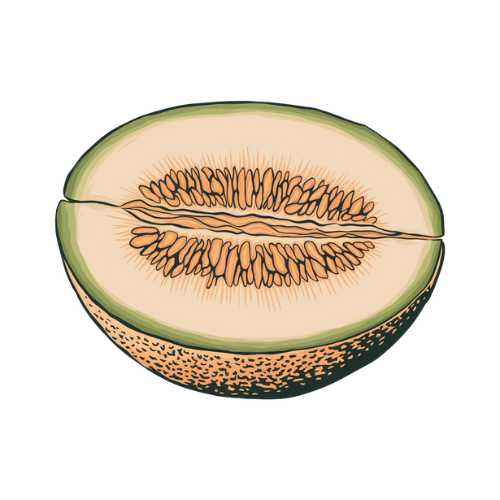 melon